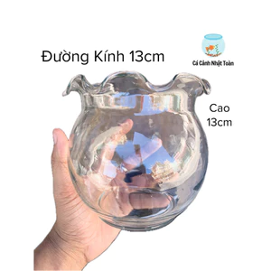 Chậu Thủy Tinh Tròn Mini Cao 13cm, Đường Kính 13cm