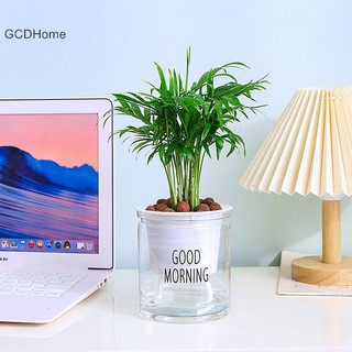 Gcdhome Hoa Tự tưới Cây Nhựa Trong Suốt Chậu Cá Tự tưới Cây Nồi Trang Trí Nhà Cửa HOT
