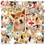 Hộp 50 Sticker Hình CHÓ CORGI Decal Phản Quang 7 Màu Halogram Chống Nước - Gì Cũng IN | MS: 00052