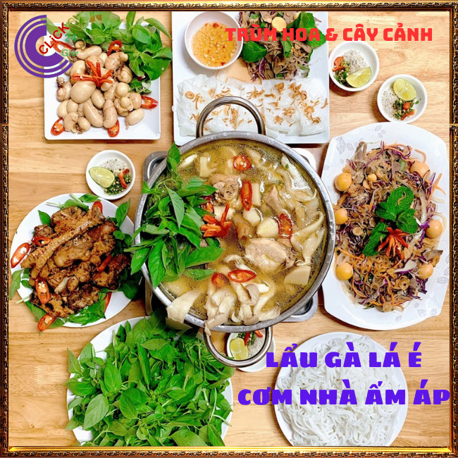 Chậu rau lá é đặc sản thơm ngon và là thần dược của cơ thể ⏰Hoa Mười Giờ Bonsai & Phụ Kiện