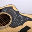 Nhãn dán bảo vệ CHEESELY, Hình chim ABS Dân gian Acoustic Guitar Pickguard, Họa tiết in chuyên nghiệp Phụ kiện đàn guitar tự dính Đĩa cào