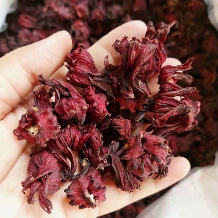 Hoa atiso đỏ nguyên bông gói 100g