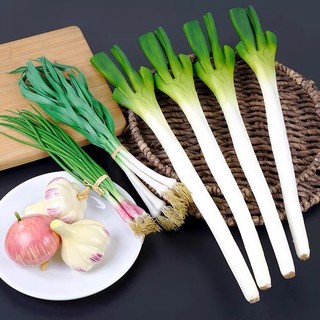 Mô Phỏng Rau Pu Xanh Hành Tỏi Trắng Mô Hình Nhà Bếp Mẫu Phòng Đồ Trang Trí Giáo Dục Sớm Nhảy Múa Đạo Cụ Chụp Ảnh