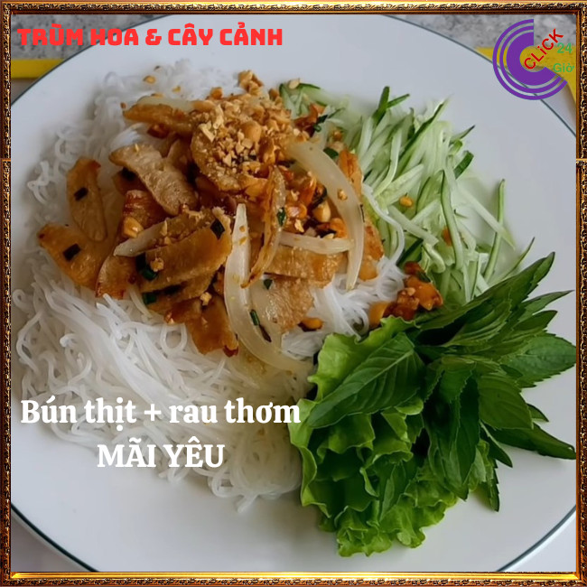 Chậu rau thơm húng bạc hà vừa ngon vừa là thảo dược quý rất nên trồng⏰ Hoa Mười Giờ Bonsai & Phụ Kiện