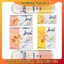 Tampon Jessa / Facelle nội địa Đức đủ size date mới - Băng vệ sinh dạng nút (Tách lẻ có che tên)