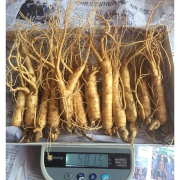 Sâm hầm gà 500g=13 củ, sâm Hàn Quốc, sâm, nhân sâm nhập Từ Hàn Quốc
