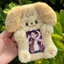 Hộp đựng thẻ ảnh ESSENCEH, Photocard đa chức năng sang trọng, Quà tặng thẻ Collie / thỏ tai lớn chất lượng cao