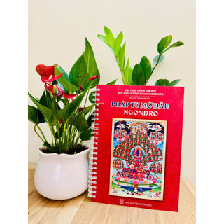 Sách - Pháp Tu Mở Đầu Ngondro ( Bìa mềm)