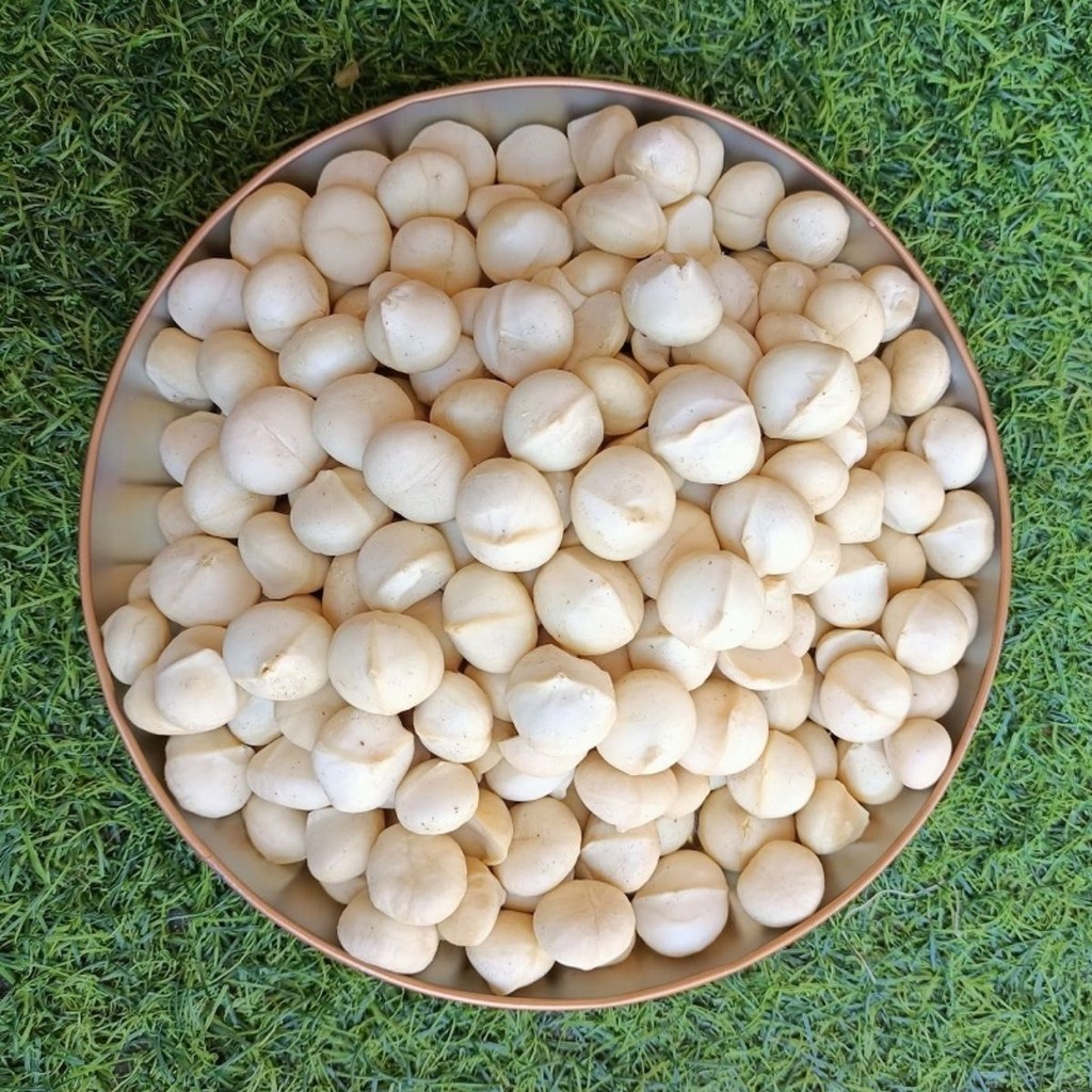 500G Nhân Hạt Macca Sấy Thơm Ngon Béo Ngậy Nhiều Dinh Dưỡng, Làm Sữa Hay Ăn Liền Đều Ngon - Xưởng Hạt Dinh Dưỡng Bảo Tâm