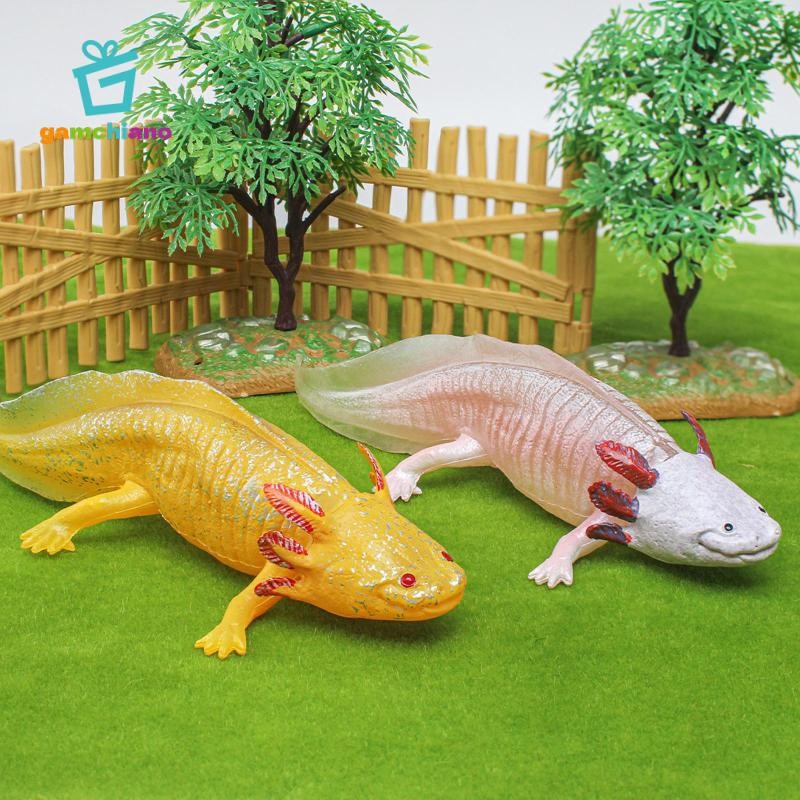Gamchiano Salamander Nhân Vật Hành Động Đồ Chơi Hình Động Vật Mô Hình Bánh Topper Tiếp Liệu Đồ Chơi Giáo Dục Mô Phỏng Salamander Đồ Chơi Cho Tuổi 3 +