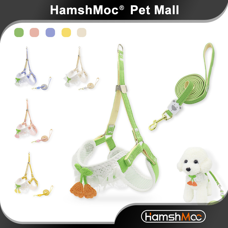 HamshMoc Bước Vào Dây Xích Cho Chó Và Bộ Dây Xích Có Thể Điều Chỉnh Mèo Con Chó Con Áo Vest Dây Dẫn Mềm Có Tay Cầm Thoải Mái Cho Thú Cưng Đi Bộ Ngoài Trời