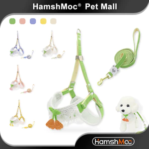 HamshMoc Bước Vào Dây Xích Cho Chó Và Bộ Dây Xích Có Thể Điều Chỉnh Mèo Con Chó Con Áo Vest Dây Dẫn Mềm Có Tay Cầm Thoải Mái Cho Thú Cưng Đi Bộ Ngoài Trời