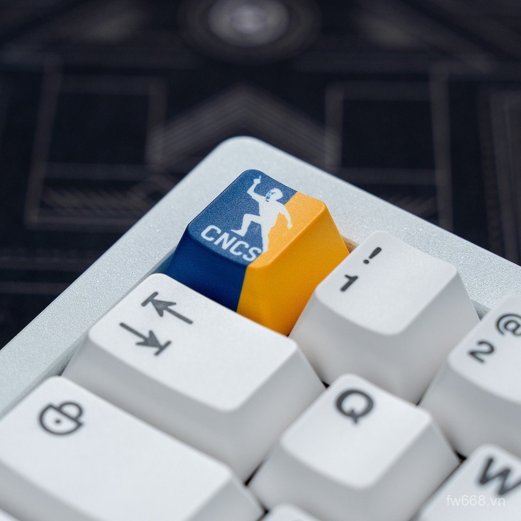 Phổ Biến Parson CSGO Tùy Chỉnh Keycap CS2 Chủ Đề Keycap MAJORNCS LVG ...