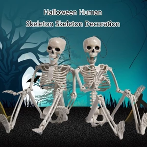 Exhila Trang trí Halloween Bộ xương toàn thân với chân đế có thể đặt ra để trưng bày ngôi nhà ma ám và trang trí tiệc Skull O