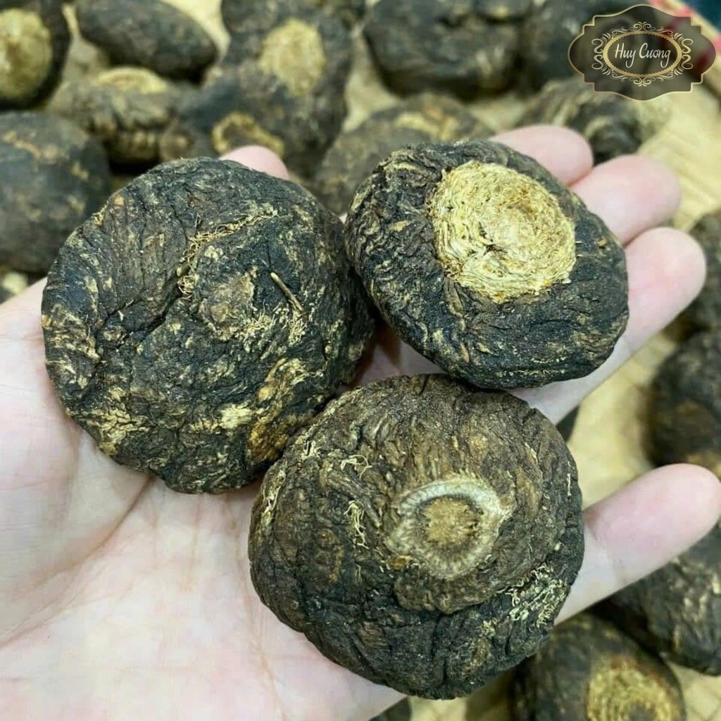Sâm Maca Peru đen, khô loại thượng hạng, dượᴄ liệu quý củ sâm macca ...