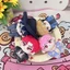 Link Click Sang Trọng Móc Khóa 10CM Xiao Weiying Liu Xiao Li Tianchen Xia Fei Anime Búp Bê Túi Charm
