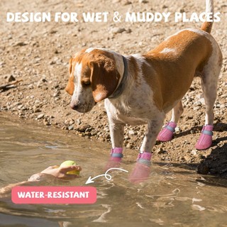Giày cho chó-Giày chống nước cho chó Paw Protector cho vỉa hè nóng tuyết mùa đông, Booties cho chó có dải phản quang
