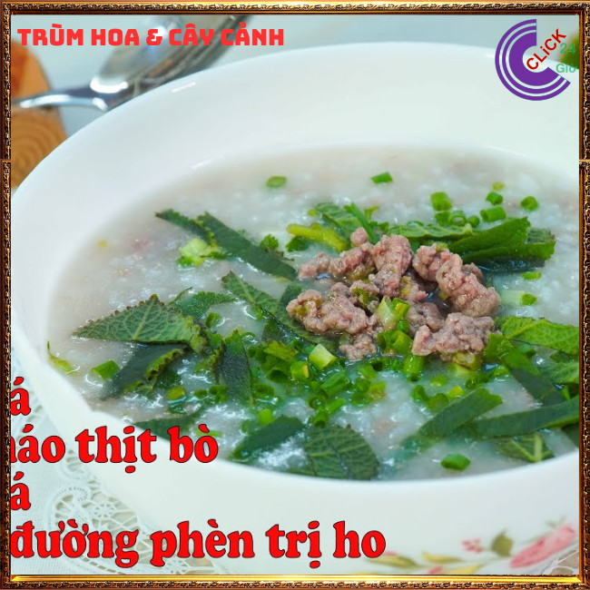 Chậu rau tần dày lá nấu canh chua, thần dược trị ho, giảm viêm họng ⏰Hoa Mười Giờ Bonsai & Phụ Kiện
