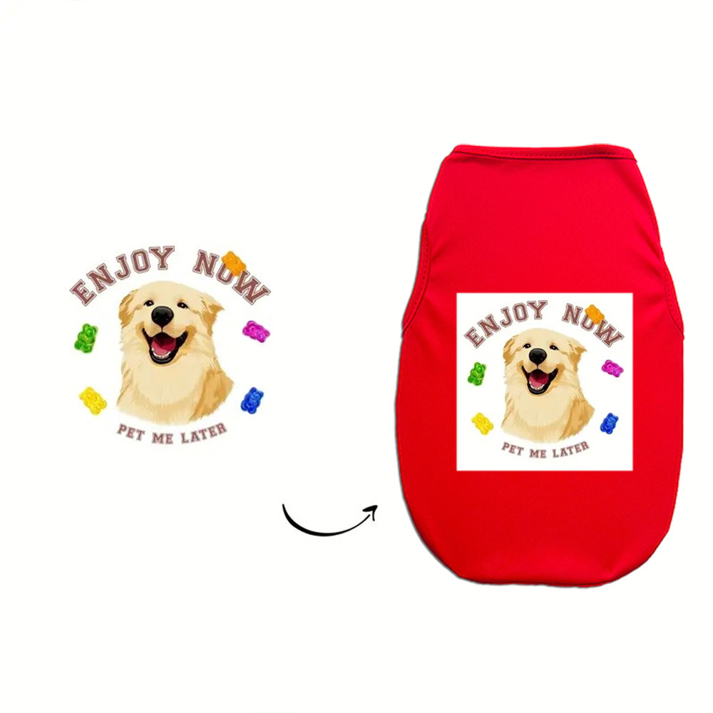 Hình ảnh Vest tùy chỉnh