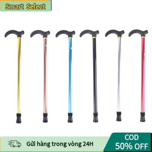 Gậy đi bộ/leo núi 2 phần chống trượt có thể điều chỉnh cho mọi đối tượng