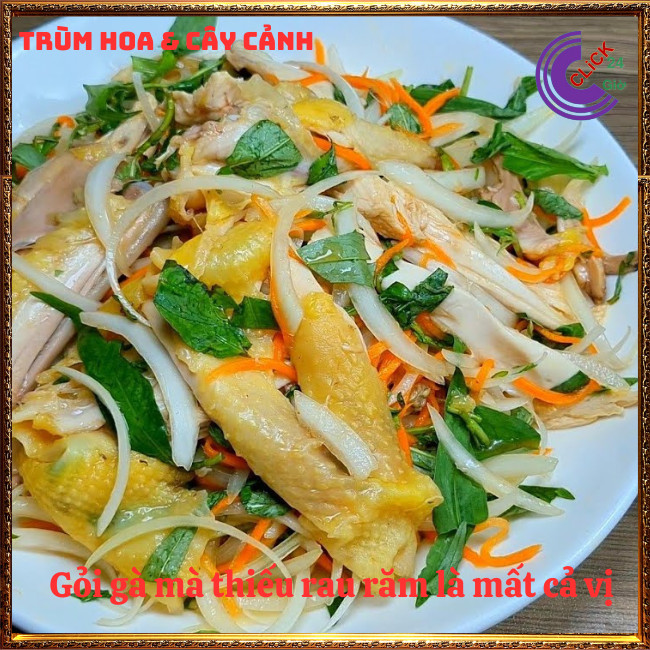 Chậu rau răm ta lá nhỏ rất thơm đem đến hương vị đặc biệt cho món ăn ⏰TRÙM HOA VÀ CÂY CẢNH