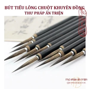 BÚT LÔNG THƯ PHÁP BÚT TIỂU LÔNG CHUỘT HIỆP CÂN KHUYÊN ĐỒNG - BÚT LÔNG THƯ PHÁP có miễn phí vận chuyển