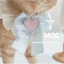 【Ready Stock】 Pearl Bow Pet Cream Bib Bow Tie Lace-up Adjustable Cat Small Dog Photo kD2u