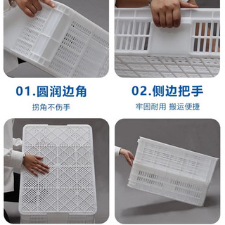 Giỏ Doanh Thu Nhựa Bền Giỏ Rau Quả Đa Năng Nhà Máy Bán Hàng Trực Tiếp 5 Năm Đảm Bảo Chất Lượng