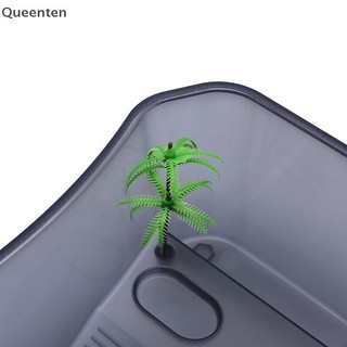 Hộp Vivarium Bò Sát Queenten Cho Rùa Hộp Ăn Rùa Có Nền Tảng Bể QT