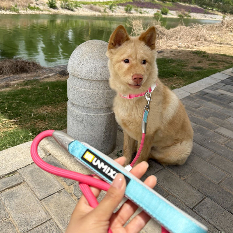 HamshMoc Chó Mèo Dây Xích Combo POM Khóa Kích Thước Điều Chỉnh Chống Rỉ D-Ring Tòn Rối-Free Rotator Thoải Mái Grip Polyester Dệt