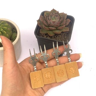 Xiên đục laze Xiên hoa quả chạm sắc nét dành cho lồng chim chào mào giá rẻ bền đẹp