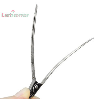 [Lostcorner] 10 Kẹp chăm sóc tóc Kẹp cắt tóc bằng thép không gỉ để làm tóc [Mới]