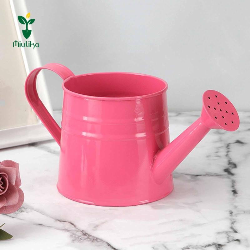 Bình tưới nước bằng kim loại Mini Miulika, Chậu trồng cây, Hộp đựng hoa mộc mạc đa năng 9.6x4.5