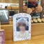 Vỏ bảo vệ hình ảnh WOODNEST, Giá đỡ Photocard thần tượng Hàn Quốc khổng lồ, Màn hình Album PVC A4 đầy màu sắc