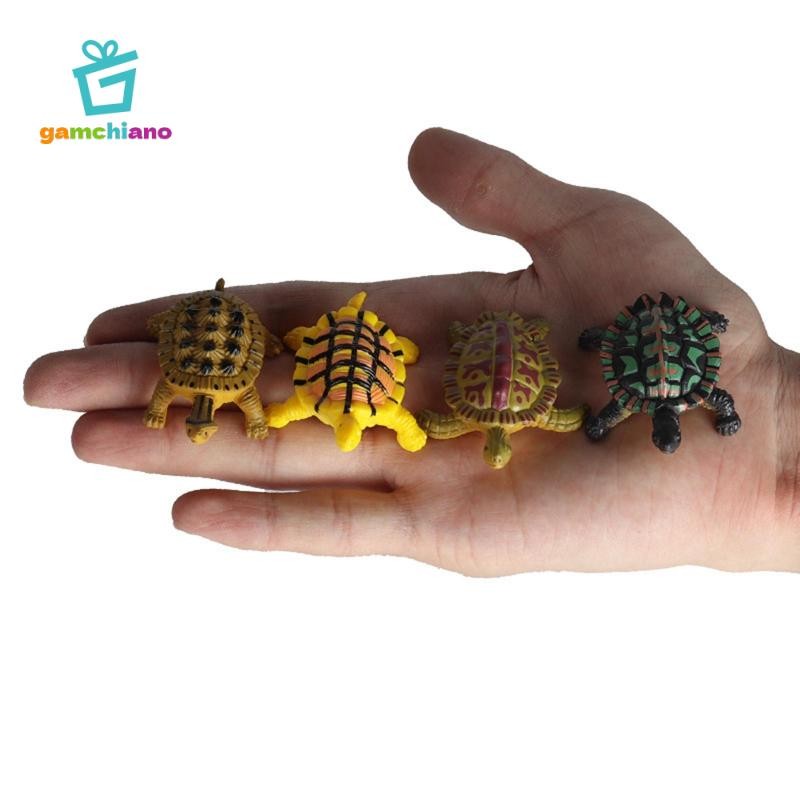 Gamchiano 12 / Bộ Mô Phỏng Động Vật Rùa Series Mô Hình Nhân Vật Biển Rùa Tượng Playset Lớp Học Dự Tiệc Cung Cấp Máy Tính Để Bàn Trang Trí