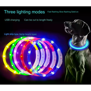 40 / 50 / 70cm Led Cổ Chó USB Sạc Thú Cưng Chó Đêm Dạ Quang Sạc Cổ Phát Sáng Vòng Cổ Cổ An Toàn Đèn Ngủ