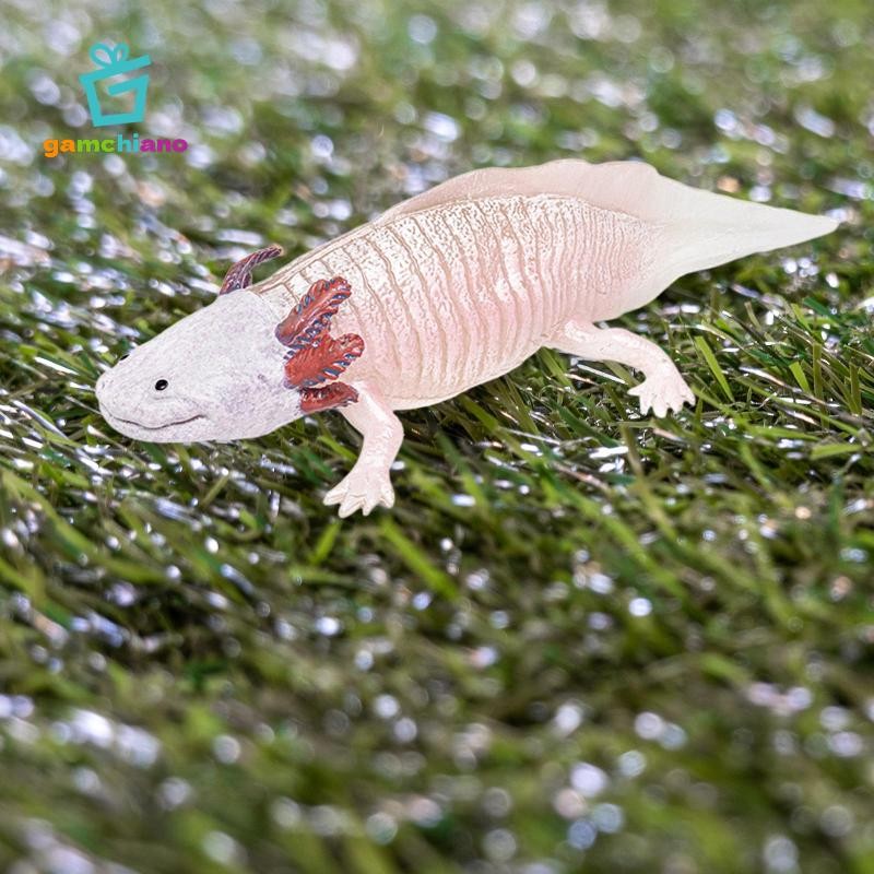 Gamchiano Salamander Nhân Vật Hành Động Đồ Chơi Hình Động Vật Mô Hình Bánh Topper Tiếp Liệu Đồ Chơi Giáo Dục Mô Phỏng Salamander Đồ Chơi Cho Tuổi 3 +