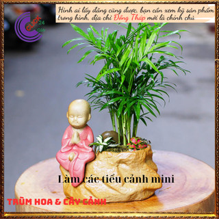 Chậu Cau tiểu trâm nhiều con cây văn phòng giúp hút tia điện tử ️️🥁 MiMa market