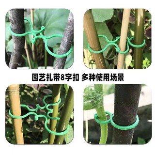 Làm Vườn 8 Xương Rồng Khóa Bướm Lớn Tám-Character Thực Vật Kèm Cây Cố Định Vine Man Khóa Đa Chức Năng Kết Nối