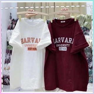 Áo phông thun nữ 3158 in chữ HARVARD form rộng unisex chất cotton khô SKINI