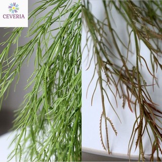 Cành măng tây rừng dáng rủ treo tường cành dày nhiều nhánh CEVERIA 55cm phù hợp trag trí nhà, làm hoa cưới