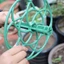 Giá đỡ lồng cây CORALTIDE, Khung leo cây cảnh có thể xếp chồng lên nhau bằng nhựa, Giá đỡ hỗ trợ cây nhiều lớp S / M / L Đồ dùng làm vườn
