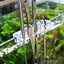 Top Acrylic Nước Cỏ Dụng Cụ Giá Cho Kéo Nhíp Chất Làm Sạch Tổ Chức Cá Bảo Trì