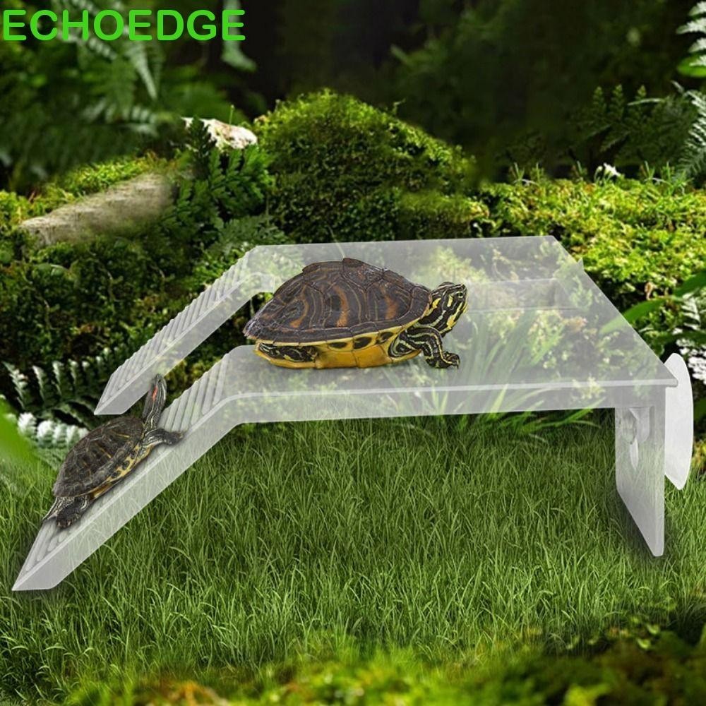 Nền tảng móng rùa ECHOEDGE, Nhựa có cốc hút Nền tảng leo rùa, Bể cá bậc ...