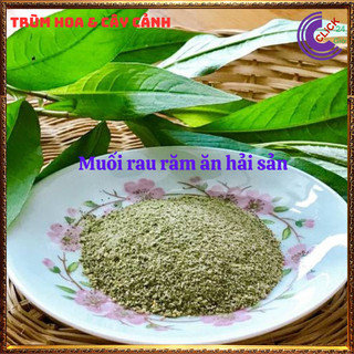 Chậu rau răm gia vị đem lại hương vị đặc biệt cho món ăn thủy liễu 🕰Yêu Nhà Yêu Hoa
