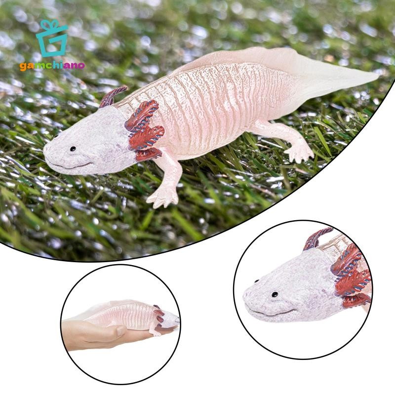 Gamchiano Salamander Nhân Vật Hành Động Đồ Chơi Hình Động Vật Mô Hình Bánh Topper Tiếp Liệu Đồ Chơi Giáo Dục Mô Phỏng Salamander Đồ Chơi Cho Tuổi 3 +