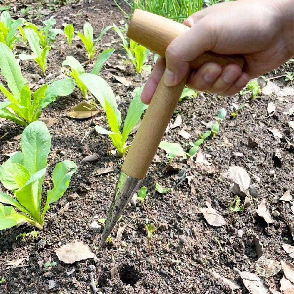 PWSSEND Hand Sow Dibbler, Tay cầm T-Wood Hạt giống gieo Công cụ đục lỗ trong vườn, Bóng đèn cấy ghép Dụng cụ trồng cây đào Dụng cụ phân phối làm vườn