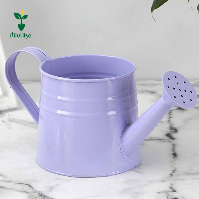 Bình tưới nước bằng kim loại Mini Miulika, Chậu trồng cây, Hộp đựng hoa mộc mạc đa năng 9.6x4.5