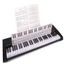 Thẻ ghi chú bàn phím CHEESELY, Biểu đồ hợp âm đàn piano có thể tháo rời dành cho người mới bắt đầu, 61 / 88 phím Thẻ thực hành ngón tay Phụ kiện đàn piano Công cụ học tập piano