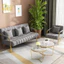 Sofa kiểu Bắc Âu Sofa chắc chắn và bền với 2 chỗ ngồi